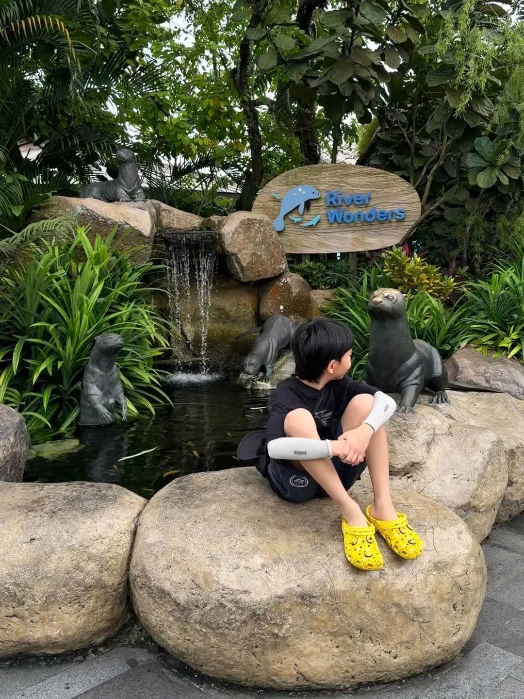 River Wonders gấu trúc